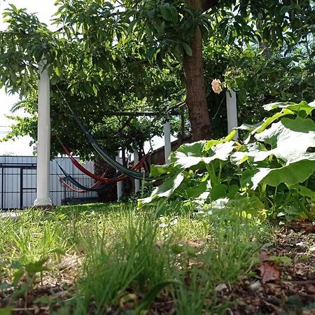 Hospedaje Curico Casa Grande Exterior foto